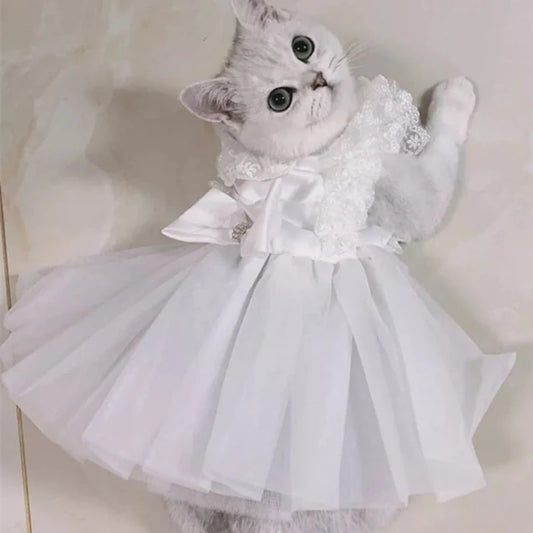 Adorable Lace Princess Pet Dress