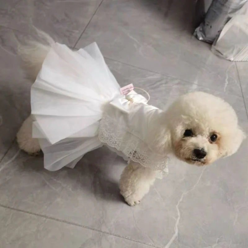 Adorable Lace Princess Pet Dress