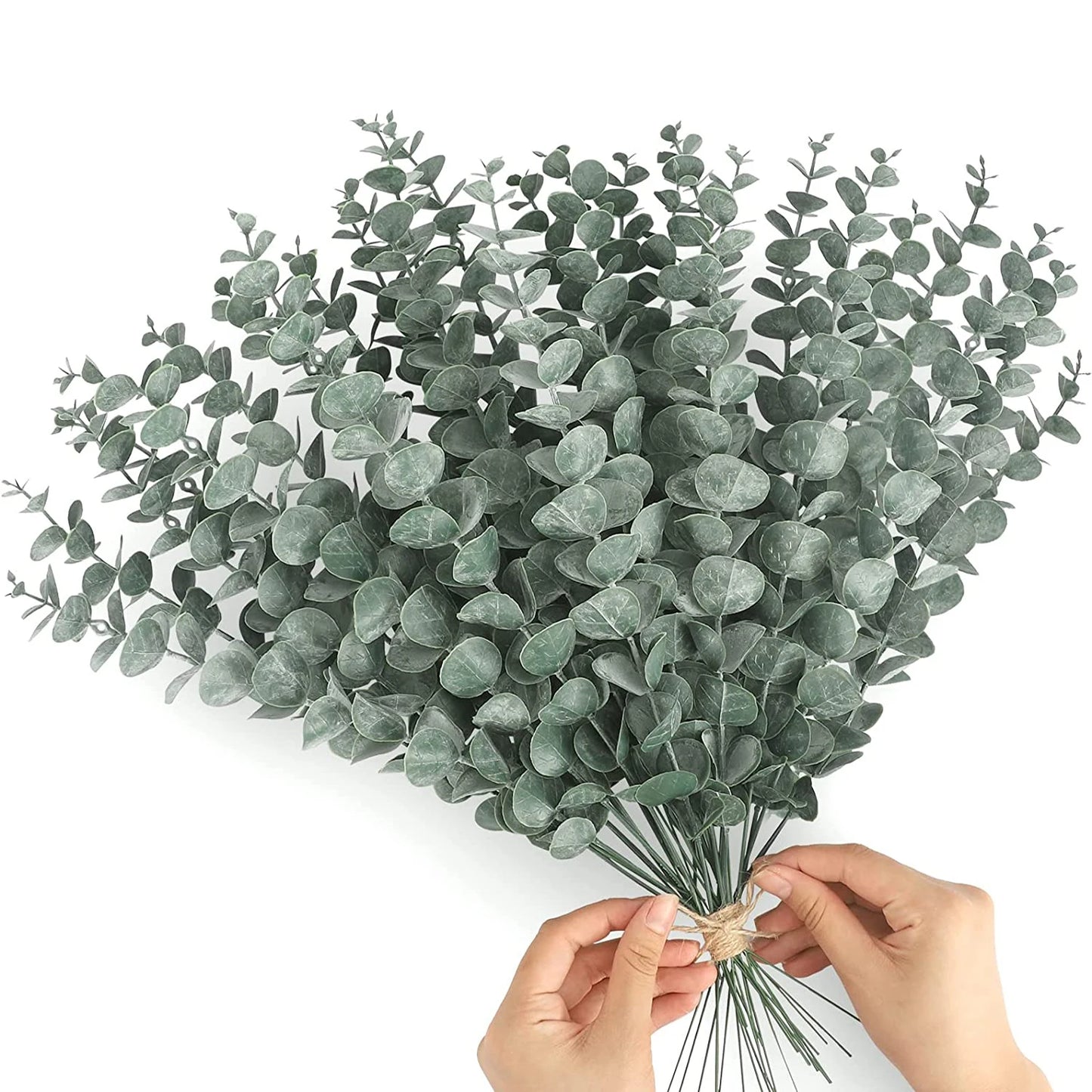 Yannew 12pcs Silver Dollar Eucalyptus Stems