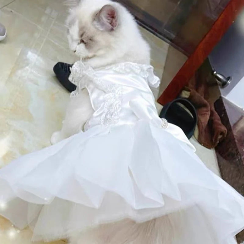 Adorable Lace Princess Pet Dress